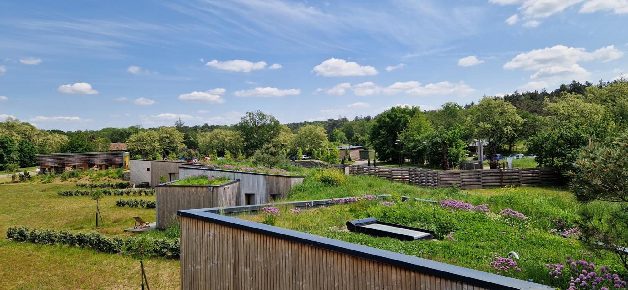 Domaine De L'Epau Eco-Resort Yvré-lʼÉvêque Exterior foto